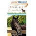 Runaway (Starlight Animal Rescue)