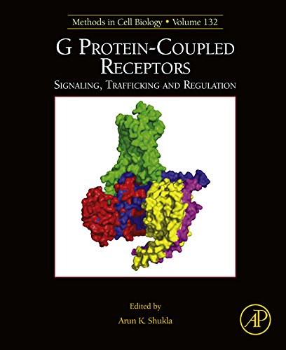 G Protein-Coupled Receptors: Signaling, Trafficking and Regulation (Methods in Cell Biology)