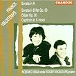 Franck: Sonata in A; Vieuxtemps: Sonata in B flat, Op. 36; El�gie, Op. 30; Capriccio in C minor