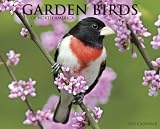 Garden Birds of North America 2012 Calendar