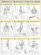 Strength Training Anatomy: Strength Training for the Arms Poster