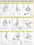 Strength Training Anatomy: Strength Training for the Arms Poster