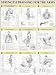 Strength Training Anatomy: Strength Training for the Arms Poster