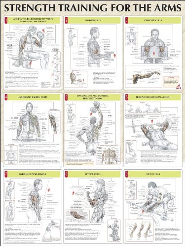 Strength Training Anatomy: Strength Training for the Arms Poster