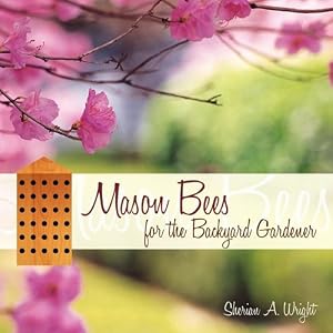 mason bees