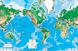 World Map Wall Mural--8'8x13'0