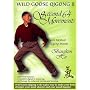 Wild Goose Qigong II - Second 64 movements