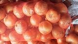北海道産　玉ねぎ  L大　サイズ　１０ｋｇ　産地直送