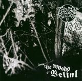 Into The Woods Of Belial
