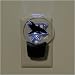 San Jose Sharks Everbrite Night Light