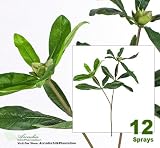 Twelve 27" Rhododendron Artificial Sprays Bendable Stems