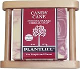 Patchouli Aromatherapy Herbal Soap on Wood Soap Dish