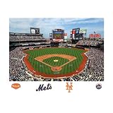 MLB New York Mets Inside Citi Field Mural Wall Graphic