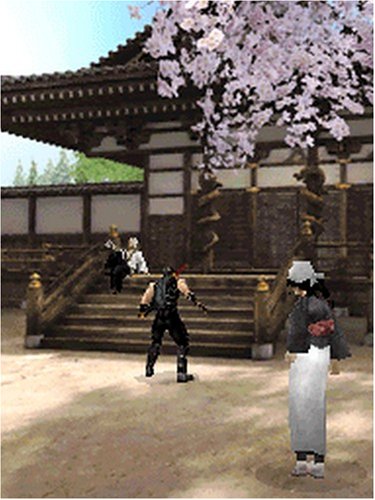 Ninja Gaiden Dragon Sword image