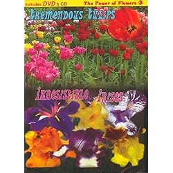 Tremendous Tulips Irrestible Irises