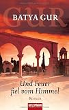 Und Feuer fiel vom Himmel