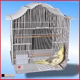 BIRD CAGE WHITE MAIMI BUDGIE CANARIES PARROTLETS BIRDS