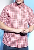 Blue Harbour Pure Cotton Mini Check Shirt [T25-8188B-S]