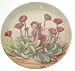 Gresham The Double Daisy fairy The World of Flower Fairies Cicely Mary Barker HJ88