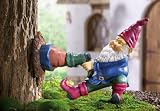 Gnome Stuck In Tree by Winston Brands