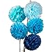 Luna Bazaar Tissue Paper Pom Poms (10-Inch, Multicolor Blue, Set of 5) - Hanging Paper Flower Ball Decorations for Weddings, Bridal and Baby Showers, Nurseries, Parties