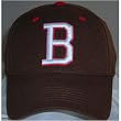 Brown Bears Adult One-Fit Hat