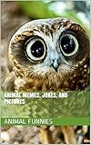 Animal Funnies: The Best Animal Memes, Jokes, and Pictures