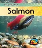 Life cycle of a salmon