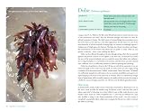 picture of Edible Seashore: River Cottage Handbook No.5
