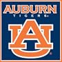 Turner CLC Auburn Tigers Note Cube (8080067)