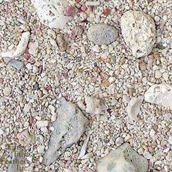 Arag Alive West Caribbean Sand 4/10 Lb Bags