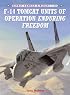 F-14 Tomcat Units of Operation Enduring Freedom (Combat Aircraft)
