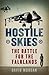 Hostile Skies