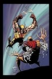 Wolverine by Larry Hama & Marc Silvestri - Volume 1