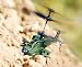 SYMA
S.012
3CH
Remote
Control
Mini
AH-64
APACHE
COMBAT
Helicopter
Ready
to
Fly