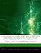 A Reference Guide to Islam, Its Duties and Practices and Its Articles of Faith Including Islamic Theology, Iman, Tawhid and Many Others