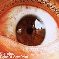Point of View Point
