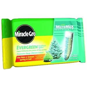 Miracle-Gro 1002651 Evergreen Tree Fertilizer Spikes 12-Pack