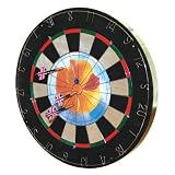 Insert-a-Photo Dartboard