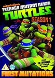Teenage Mutant Ninja Turtles-Complete Season1 [DVD] [Import]
