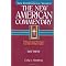 New American Commentary NT (Searchable)