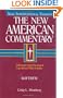 The New American Commentary Volume 22 - Matthew