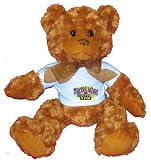 STRUCTURAL ENGINEERS R FUN Plush Teddy Bear with BLUE T-Shirt