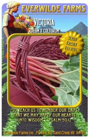 Everwilde Farms - 1 Lb Victoria Rhubarb Seeds - Bulk Seed Packet