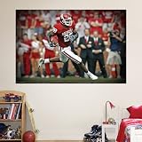 NFL Adrian Peterson Oklahoma Mural Vinyl Wall Graphic Decal Sticker Poster