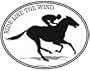 RACE HORSE - RIDE LIKE THE WIND -Equine - Oval-Horse-Decal-Race Track Jockey Bumper Sticker- Can be used for Cars, Trucks, Notebooks etc.