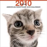 American Short Haired 2010 Square Wall ARTLIST
