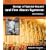 Design of Special Hazards and Fire Alarm Systems