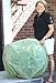 Frost Protek Plant Cover: Large, Green