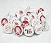 Class of 2016 Graduation Stickers for Hershey Kisses, Set of 324 (Red)